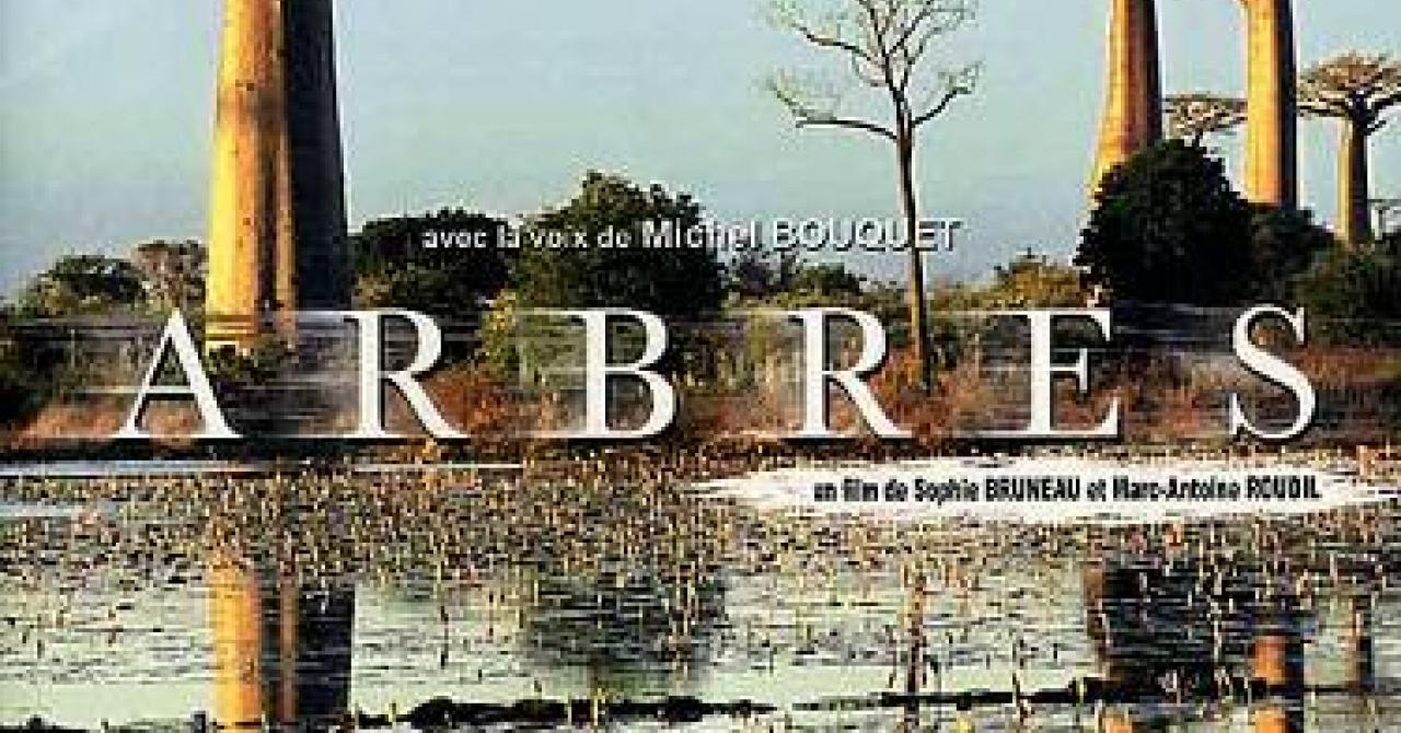 Arbres (2001), un film de Sophie Bruneau, Marc-Antoine Roudil - Les Arbres De La Paix Bande Annonce