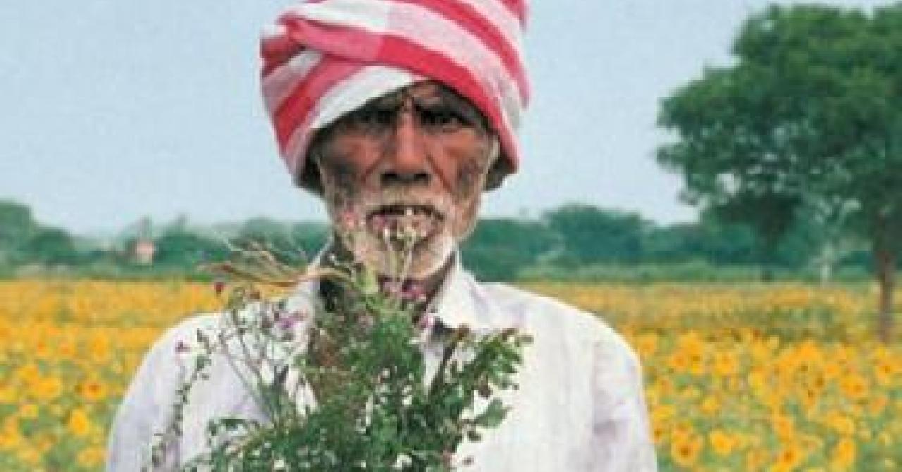 Ayurveda (2004), un film de Pan Nalin Premiere.fr news, sortie