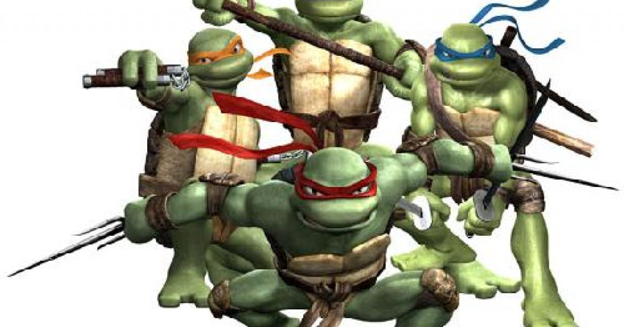 Ninja Turtles : Teenage Years : les célèbres bagarreurs des
