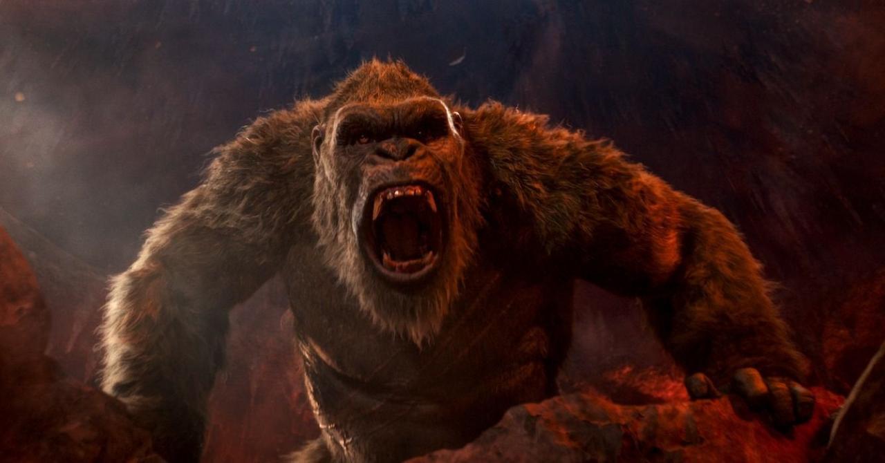 Son of Kong devrait être la suite de Godzilla vs. Kong Premiere.fr