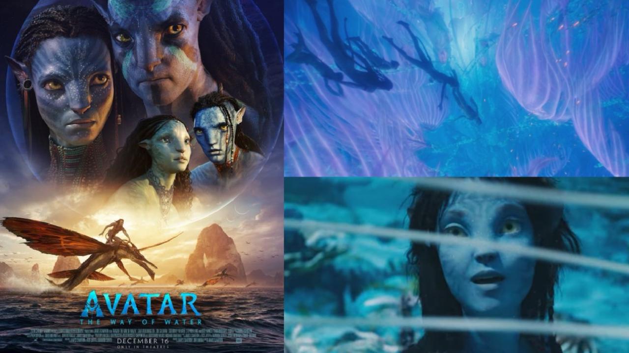  Plongez dans la nouvelle bande-annonce splendide d'Avatar : La Voie de l'eau