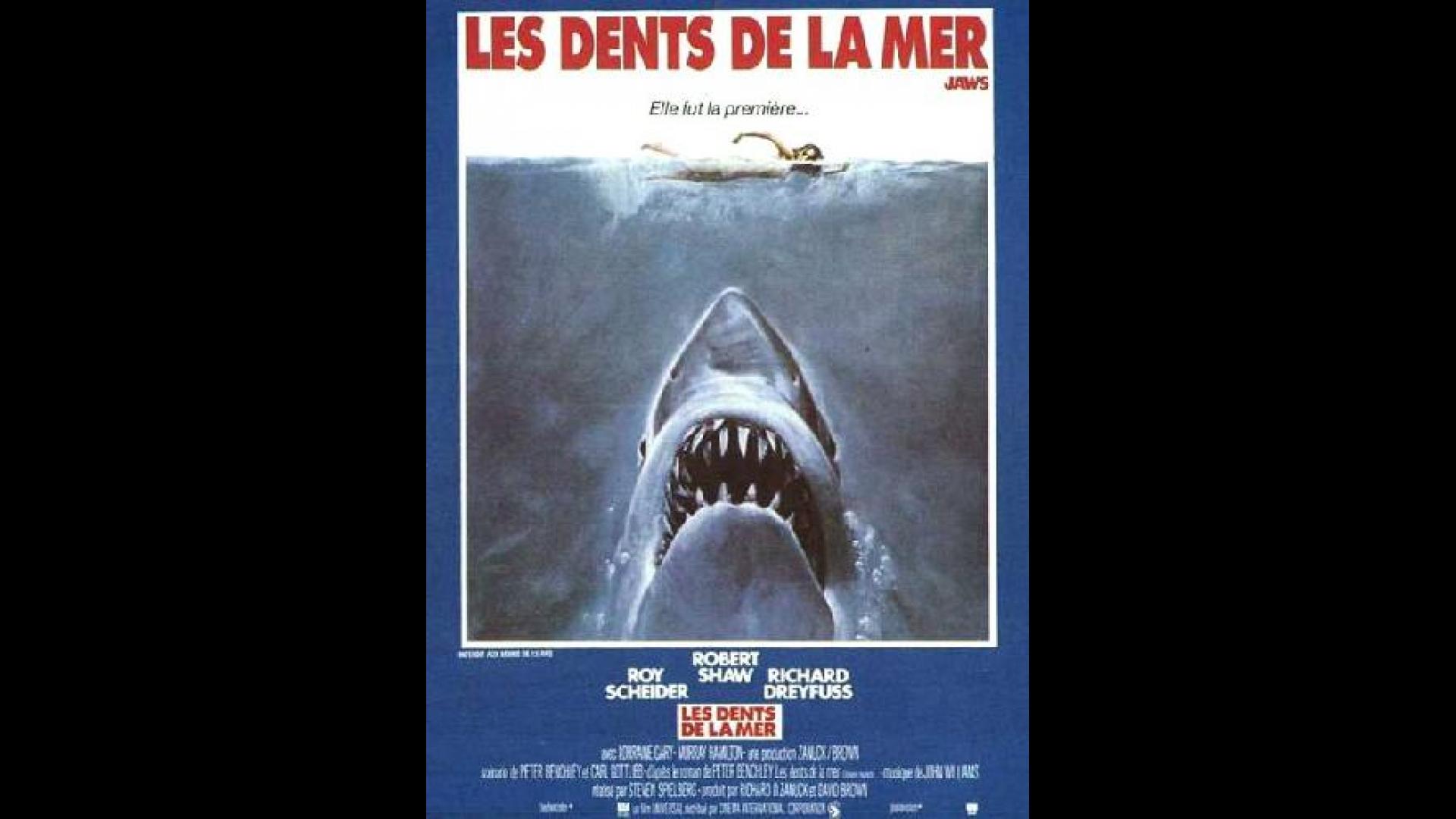 Les Dents de la mer (1975), un film de Steven Spielberg | Premiere.fr