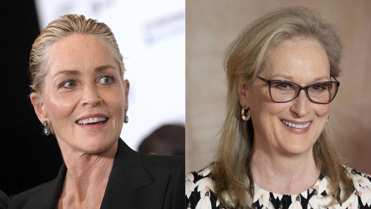Sharon Stone : "Il y a d'autres actrices aussi talentueuses que Meryl Streep" 