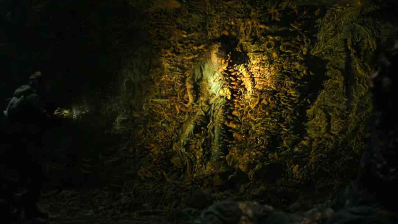 Last of Us spores