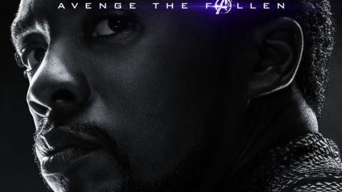 Avengers Endgame : Black Panther (Chadwick Boseman)