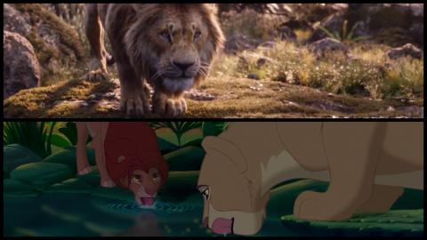 Le Roi Lion 1994 vs. 2019 : Simba adulte