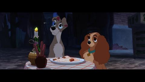 The Lady and the Tramp 