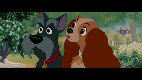 The Lady and the Tramp 