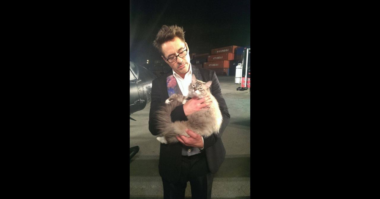 Robert Downey Jr. animaux