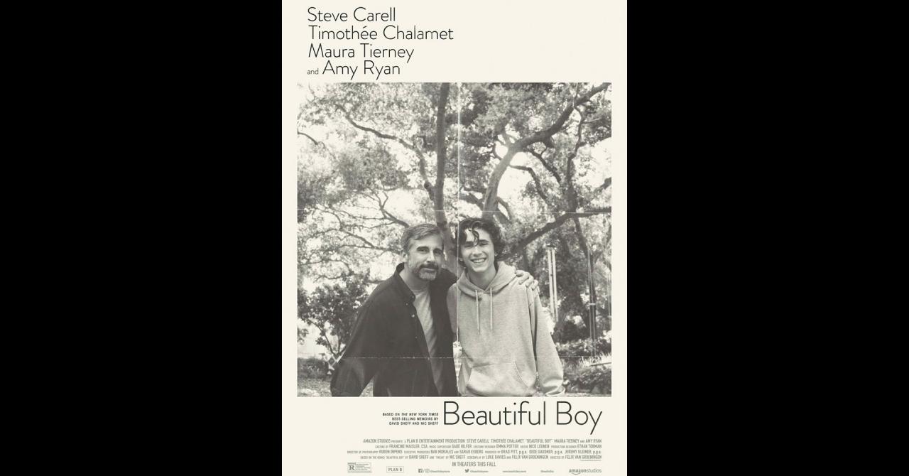 Beautiful Boy affiche