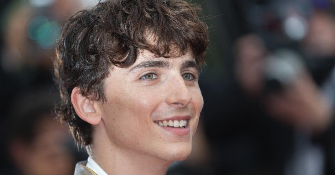 Cannes 2021: Timothée Chalamet all smiles for The French Dispatch