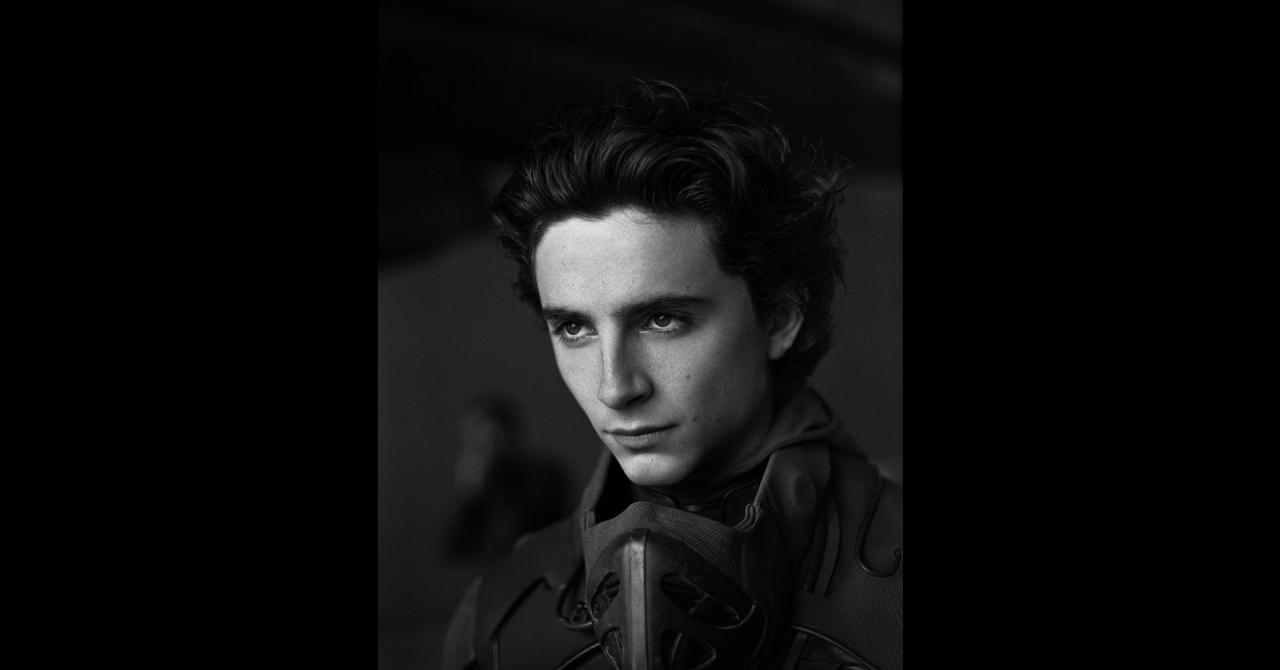 Timothée Chalamet / Dune