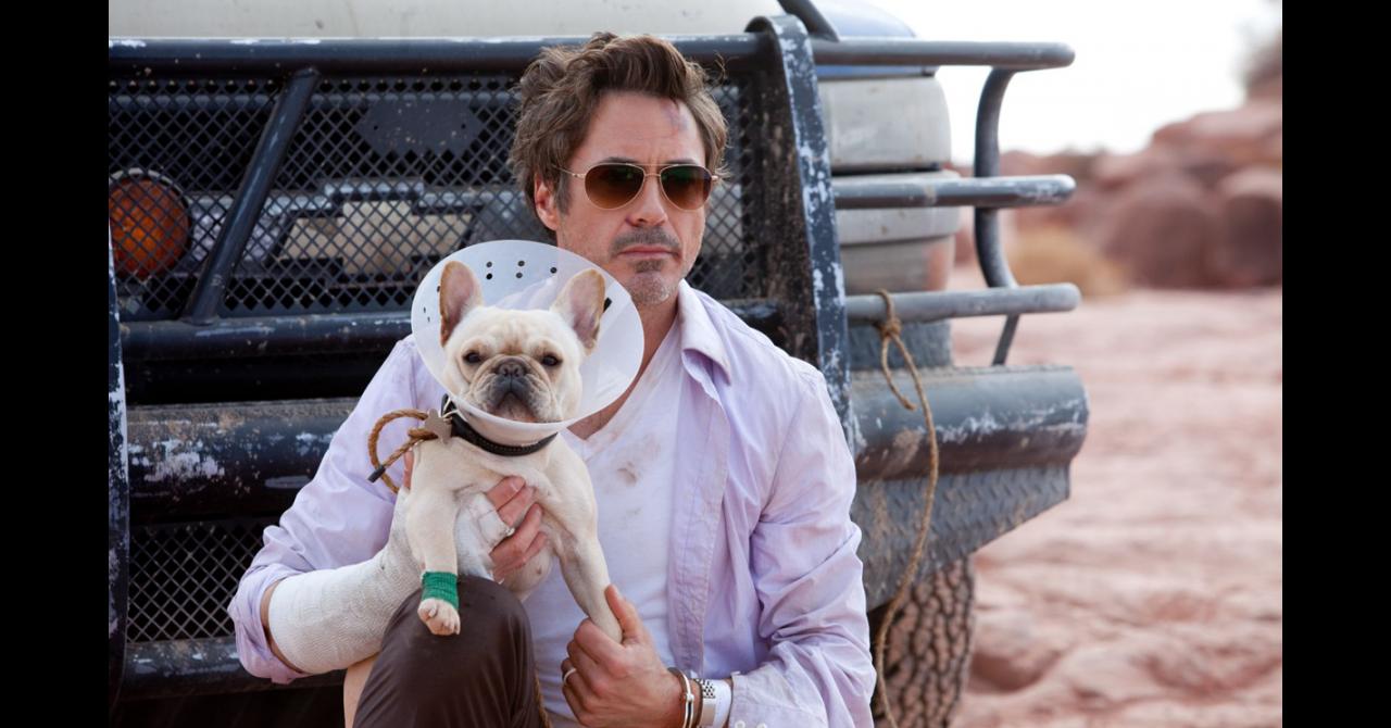 Robert Downey Jr. dans Date limite