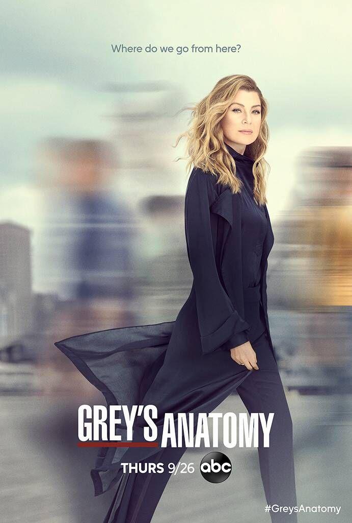 grey's anatomy saison 16 poster