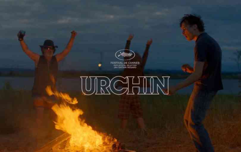 Urchin